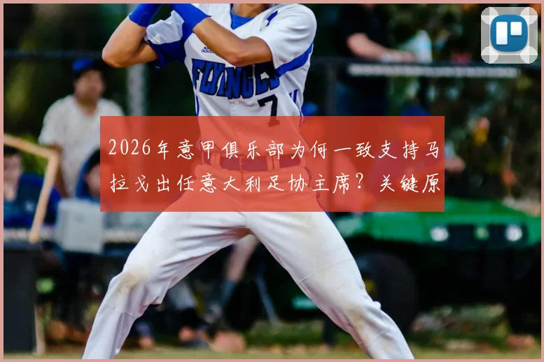 2026年意甲俱乐部为何一致支持马拉戈出任意大利足协主席？关键原因与未来影响解析